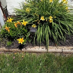 Meet your Posher, Paulette